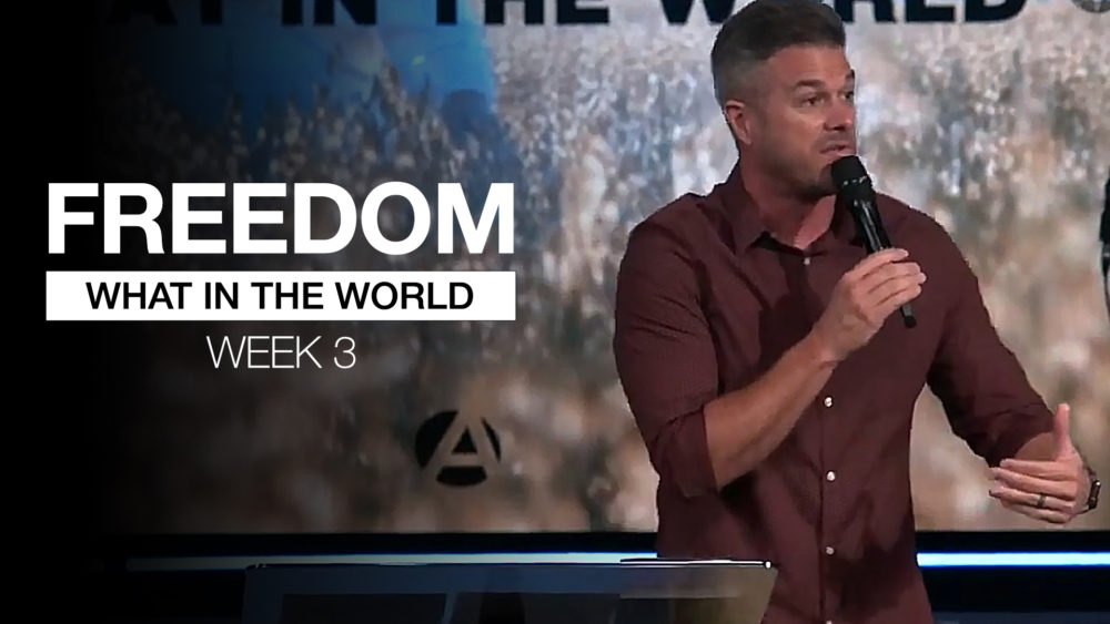 FREEDOM | What in the World | week 3  Image
