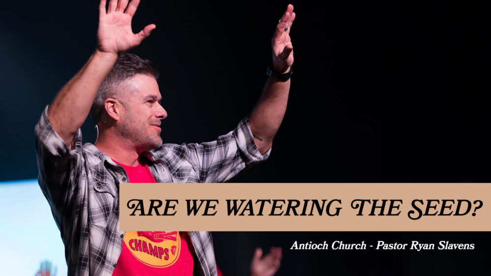 THE CHURCH | Are We Watering The Seed? | week 5 Image