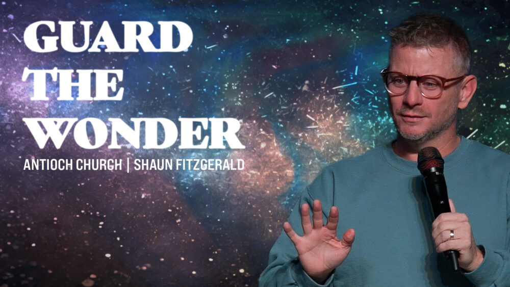 Guard The Wonder Image