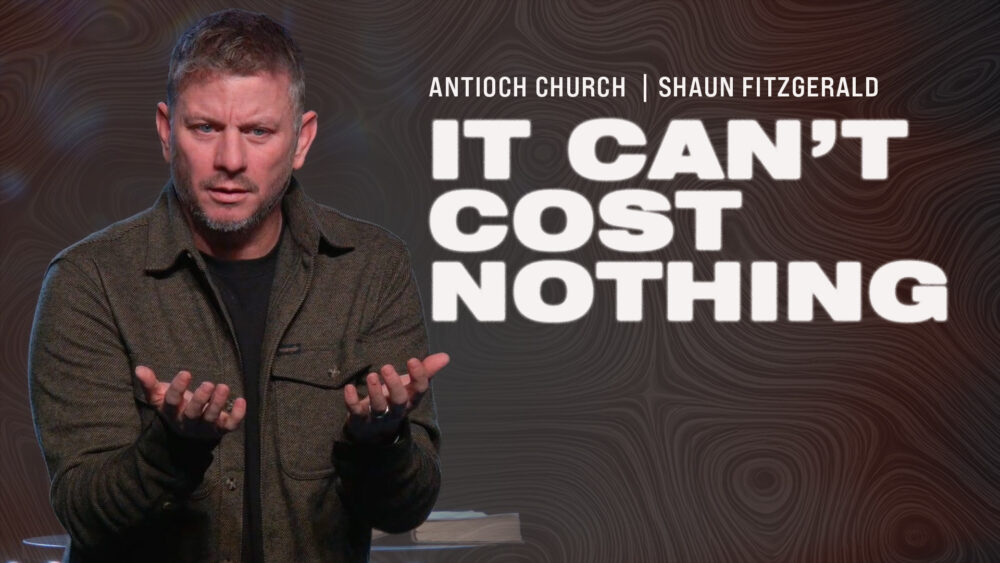 It Can't Cost Nothing Image