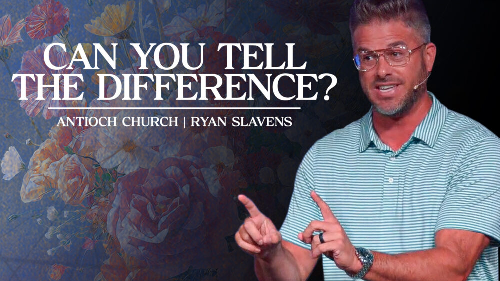 Can You Tell The Difference? Image