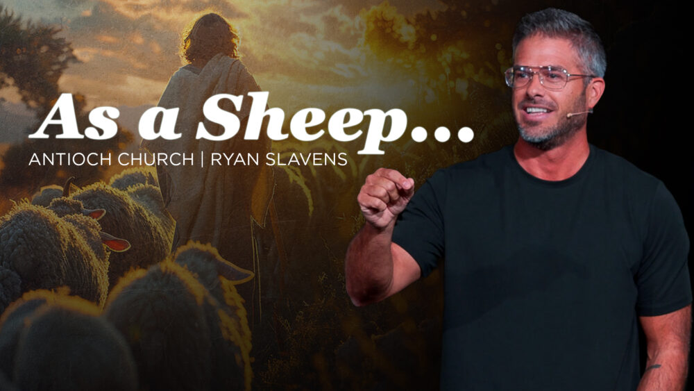 As A Sheep... Image